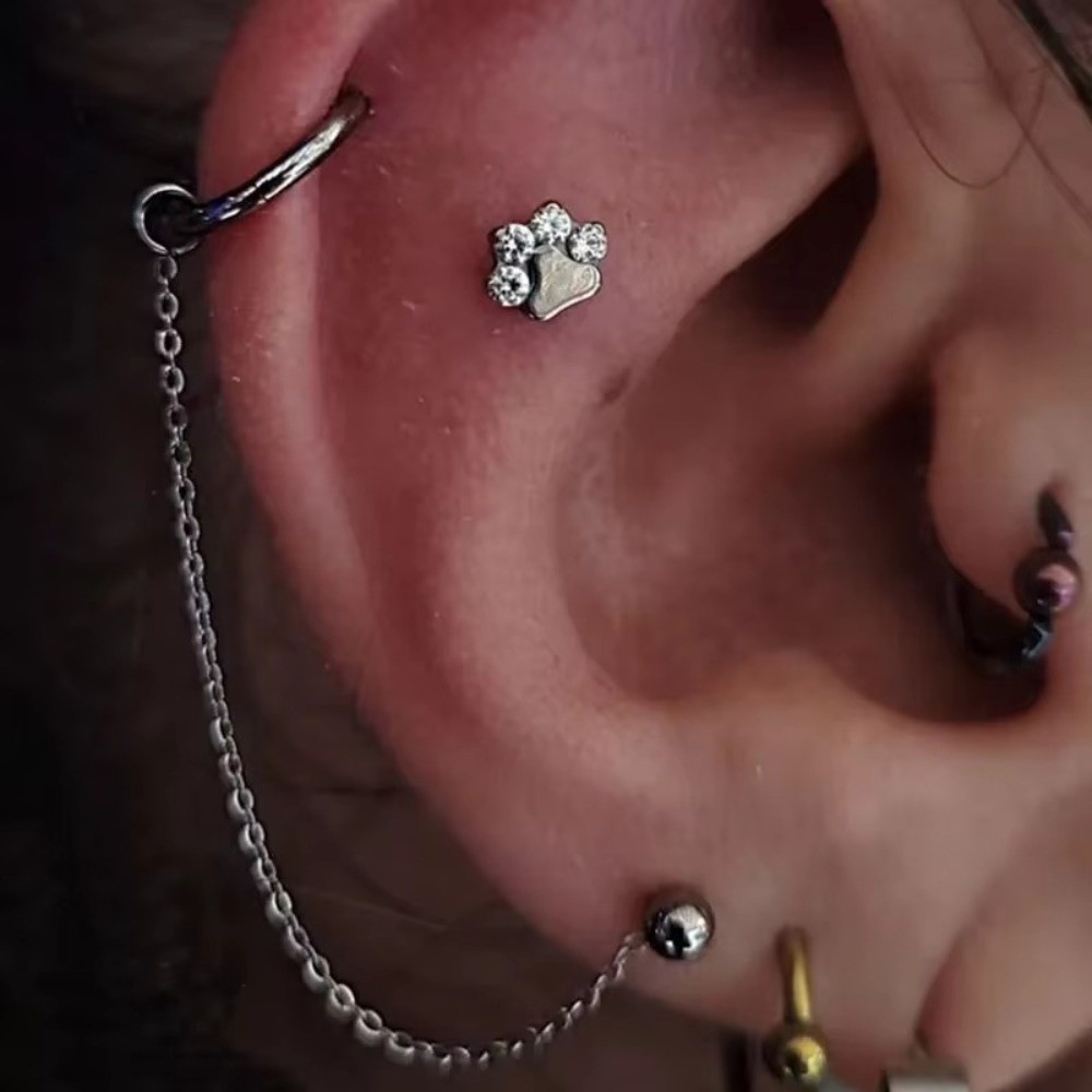 Chaîne de nez en titane, chaîn - Body Jewelry Ear avis et prix